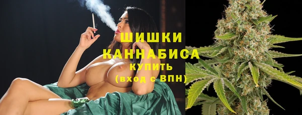 эйфоретик Богданович