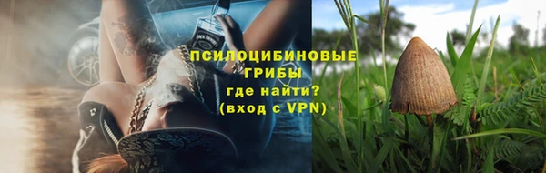 эйфоретик Богданович