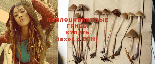 эйфоретик Богданович